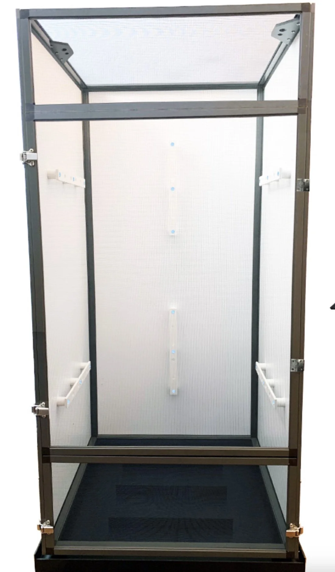 How to choose the right chameleon cage — Neptune the Chameleon